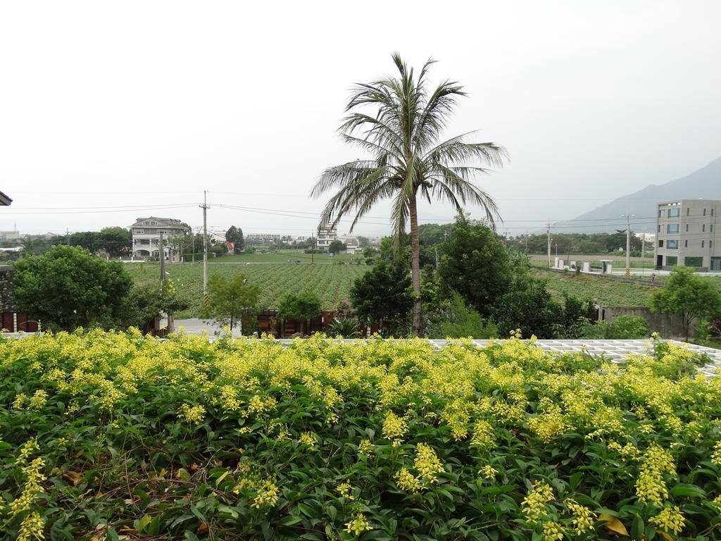 花蓮 達芙妮花園民宿 吉安郷 エクステリア 写真